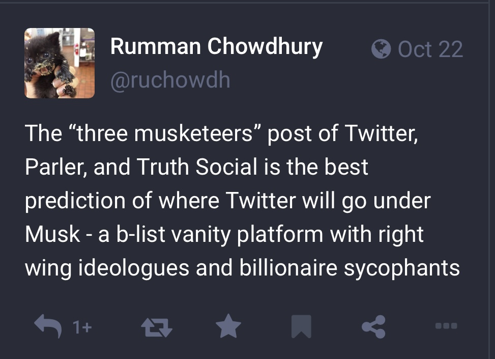 Rumman Chowdhury Twitter aI 